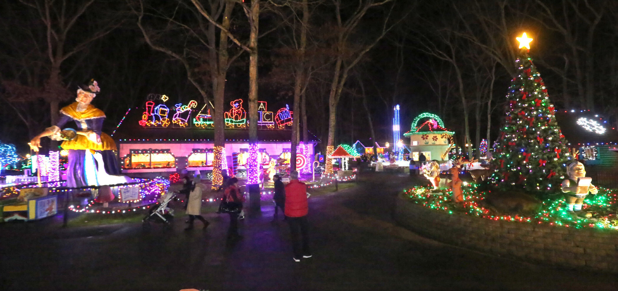 Storybook Land Christmas Fantasy Lights